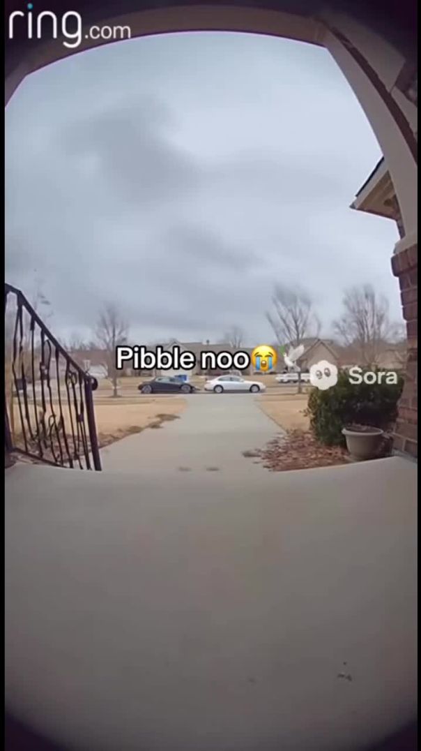 snapsave-app_2302708950165250_hd